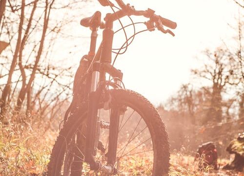 De Voordelen van het Huren van een Mountainbike